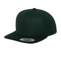 Spruce Green - Front - Flexfit Mens Classic Snapback Cap