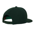 Spruce Green - Back - Flexfit Mens Classic Snapback Cap