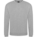 Heather Grey - Front - PRORTX Unisex Adult Pro Sweatshirt