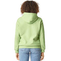 Pistachio - Back - Gildan Unisex Softstyle Midweight Hoodie