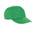 Apple Green - Back - Result Headwear Unisex Adult Houston Cap