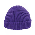 Purple - Back - Result Winter Essentials Whistler Beanie