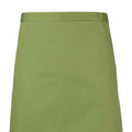 Oasis Green - Back - Premier Colours Mid Length Apron