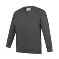 Charcoal - Front - Awdis Childrens-Kids Academy Raglan Sweatshirt