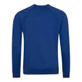 Deep Royal Blue - Back - Awdis Childrens-Kids Academy Raglan Sweatshirt