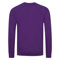 Purple - Back - Awdis Childrens-Kids Academy Raglan Sweatshirt