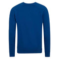 Royal Blue - Back - Awdis Childrens-Kids Academy Raglan Sweatshirt