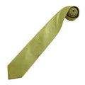 Grass Green - Back - Premier Mens Colours Fashion Tie