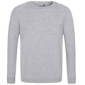 Grey - Front - Awdis Childrens-Kids Academy Raglan Sweatshirt