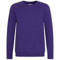 Purple - Front - Awdis Childrens-Kids Academy Raglan Sweatshirt