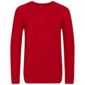 Red - Front - Awdis Childrens-Kids Academy Raglan Sweatshirt