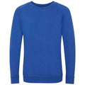 Royal Blue - Front - Awdis Childrens-Kids Academy Raglan Sweatshirt