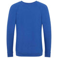 Royal Blue - Back - Awdis Childrens-Kids Academy Raglan Sweatshirt