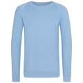 Sky Blue - Front - Awdis Childrens-Kids Academy Raglan Sweatshirt