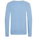 Sky Blue - Back - Awdis Childrens-Kids Academy Raglan Sweatshirt