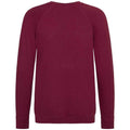 Burgundy - Back - Awdis Childrens-Kids Academy Raglan Sweatshirt