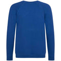 Deep Royal Blue - Back - Awdis Childrens-Kids Academy Raglan Sweatshirt