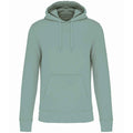 Sage - Front - Kariban Mens Eco Friendly Hoodie