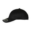 Black - Side - Flexfit 110 Curved Peak Cap