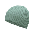 Dusty Green - Back - Beechfield Childrens-Kids Organic Cotton Beanie