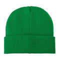 Fern Green - Back - Bullet Boreas Beanie With Patch