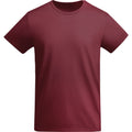 Garnet - Front - Roly Mens Breda Plain T-Shirt