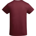 Garnet - Back - Roly Mens Breda Plain T-Shirt