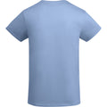 Sky Blue - Back - Roly Mens Breda Plain T-Shirt