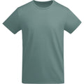 Calm Blue - Front - Roly Mens Breda Plain T-Shirt