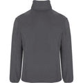 Lead - Back - Roly Mens Artic Full Zip Fleece Jacket