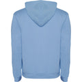 Sky Blue-White - Back - Roly Childrens-Kids Urban Drawstring Hoodie