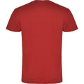 Red - Back - Roly Mens Samoyedo V Neck T-Shirt