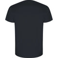 Ebony - Back - Roly Mens Golden Plain Short-Sleeved T-Shirt