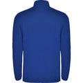 Royal Blue - Back - Roly Mens Himalaya Quarter Zip Fleece Jacket