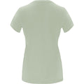 Mist Green - Back - Roly Womens-Ladies Capri Short-Sleeved T-Shirt