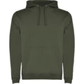 Venture Green - Front - Roly Mens Urban Hoodie