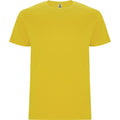 Yellow - Front - Roly Childrens-Kids Stafford Short-Sleeved T-Shirt