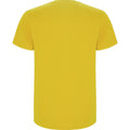 Yellow - Back - Roly Childrens-Kids Stafford Short-Sleeved T-Shirt