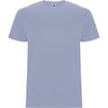 Zen Blue - Front - Roly Childrens-Kids Stafford Short-Sleeved T-Shirt