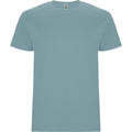 Dusty Blue - Front - Roly Childrens-Kids Stafford Short-Sleeved T-Shirt