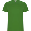 Grass Green - Front - Roly Childrens-Kids Stafford Short-Sleeved T-Shirt