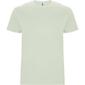 Mist Green - Front - Roly Childrens-Kids Stafford Short-Sleeved T-Shirt