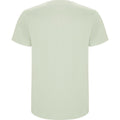 Mist Green - Back - Roly Childrens-Kids Stafford Short-Sleeved T-Shirt