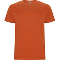 Orange - Front - Roly Childrens-Kids Stafford Short-Sleeved T-Shirt