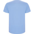 Sky Blue - Back - Roly Childrens-Kids Stafford Short-Sleeved T-Shirt