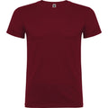 Garnet - Front - Roly Mens Beagle Short-Sleeved T-Shirt