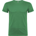 Kelly Green - Front - Roly Mens Beagle Short-Sleeved T-Shirt