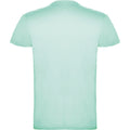 Mint - Back - Roly Mens Beagle Short-Sleeved T-Shirt