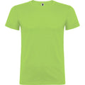 Oasis Green - Front - Roly Mens Beagle Short-Sleeved T-Shirt