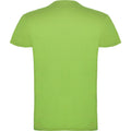 Oasis Green - Back - Roly Mens Beagle Short-Sleeved T-Shirt